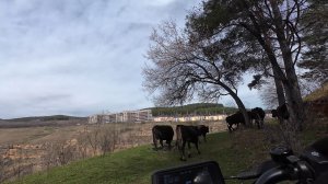Кисловодск.Прогулка по городу и в районе поселка Индустрия. 3 часть.