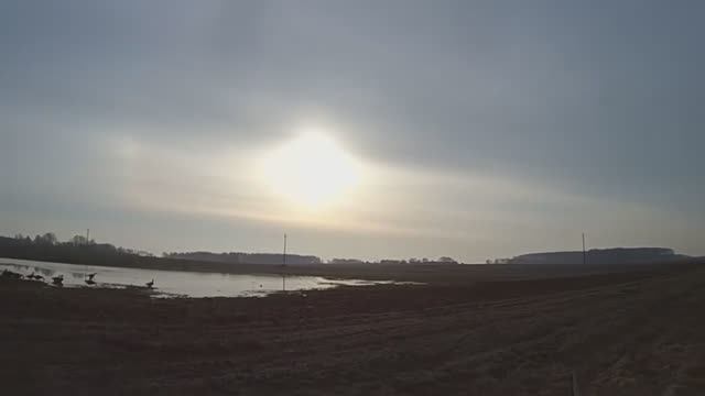 ОХОТА НА ГУСЯ, УДАЧНЫЙ ДЕНЬ