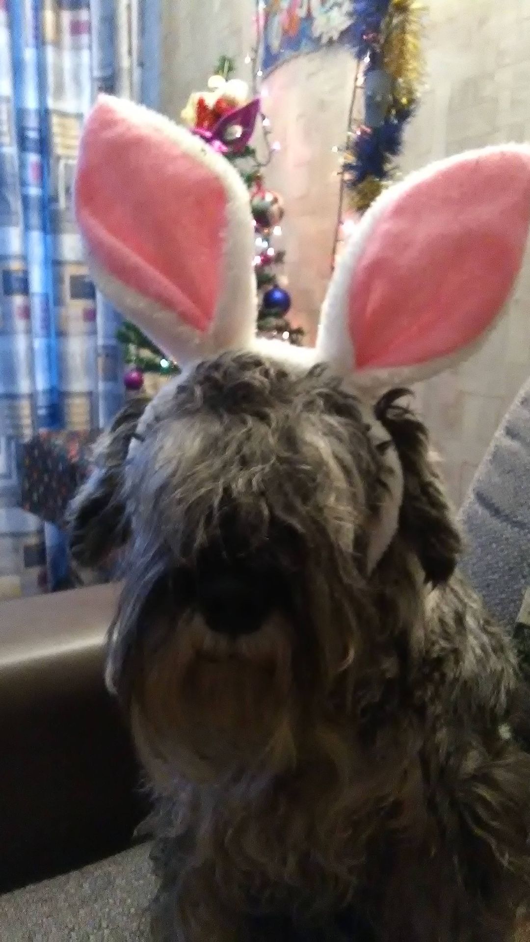 ПОЛНОЕ ДОВЕРИЕ....!😆