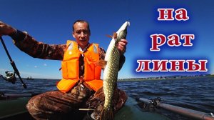 Ловля щуки на раттлины с лодки 🎣