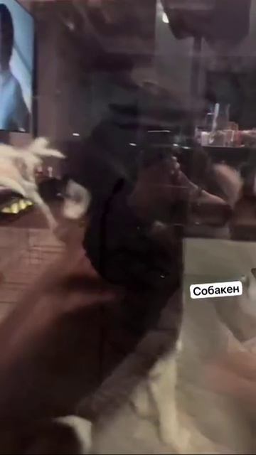 VID_20260418_122803_832.mp4