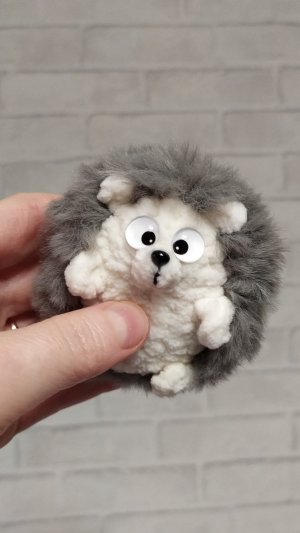 Ёжики 🦔🦔🦔🦔🦔