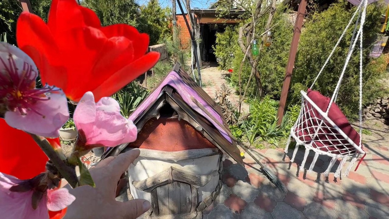 Лето в апреле #Голубицкая Южная весна 2026