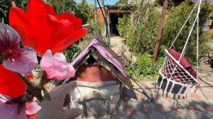 Лето в апреле #Голубицкая Южная весна 2026