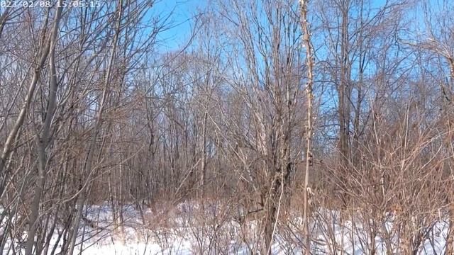 Историческое место в поселке Смирных.