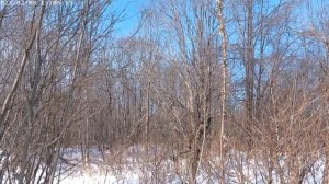 Историческое место в поселке Смирных.