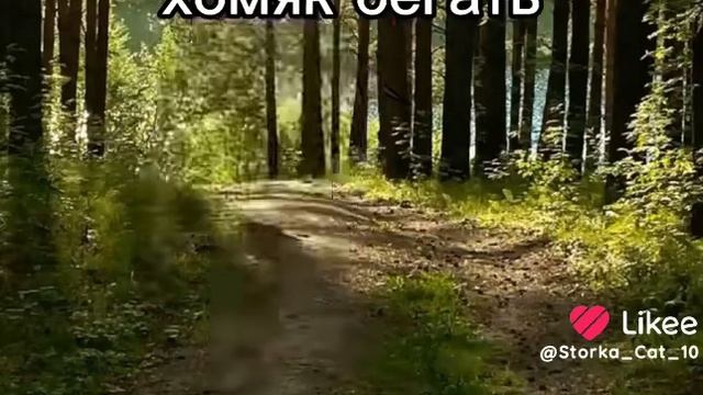 пов: 99 ночей