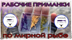 Рабочие приманки по мирной рыбе. Плотва на спиннинг. Мормышинг.