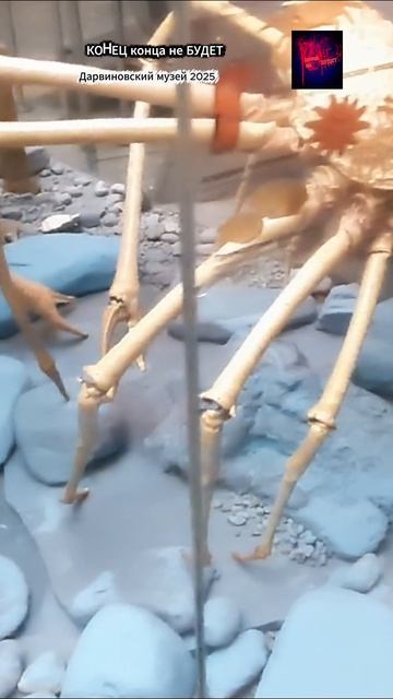 Москва. Дарвиновский музей. Жизнь вовремя СВО. Декабрь 2025.