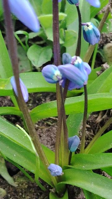 Красота рядом. #лайфкоуч #природа