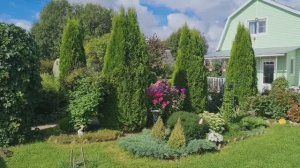 Архив.Дача! 🏡Обзор цветов на 14. 08. 25г.🌹 Ленобласть.🌹