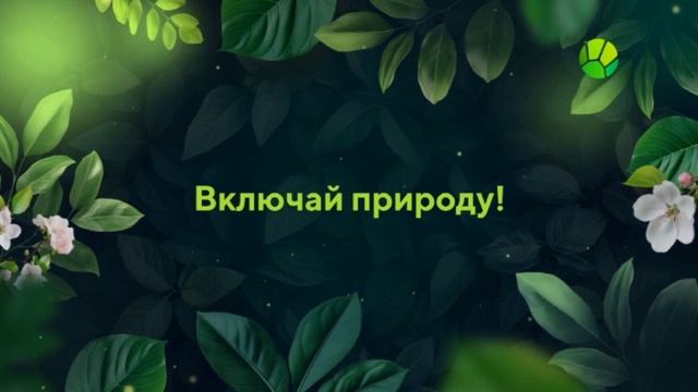 Выход с профилактики канала Живая планета 15.04.2026