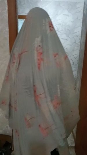 Анна шро стал невидимкой