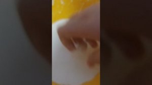 Неньютоновская житкость. 🥛🧊