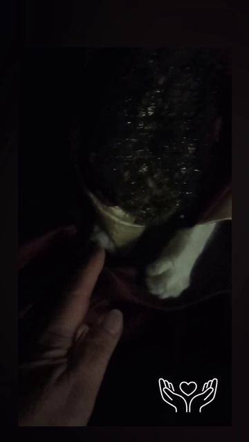 Россия.Сибирь. Ангарск. 18.04.2026г. 🥰🥰🥰 Они для нас СТРАНИЦА В ЖИЗНИ, а мы для них ВСЯ ЖИЗНЬ!