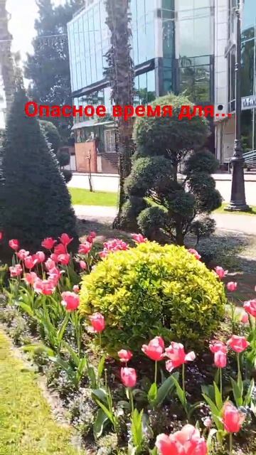 Астропрогноз