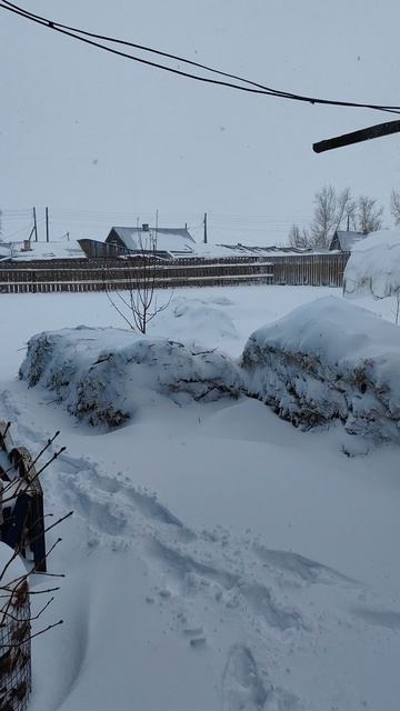 Зима вернулась.