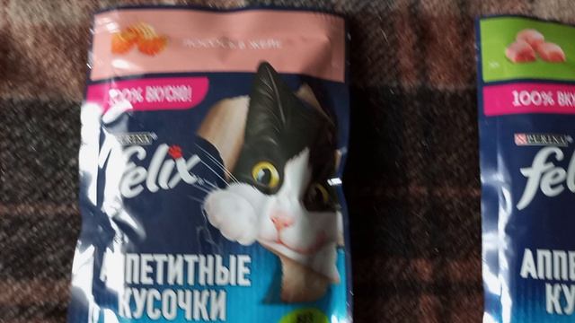 МОЯ МУСЯ СПИТ ПОСЛЕ НОЧНОЙ ПРОГУЛКИ.