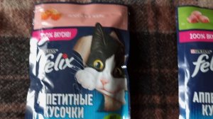 МОЯ МУСЯ СПИТ ПОСЛЕ НОЧНОЙ ПРОГУЛКИ.