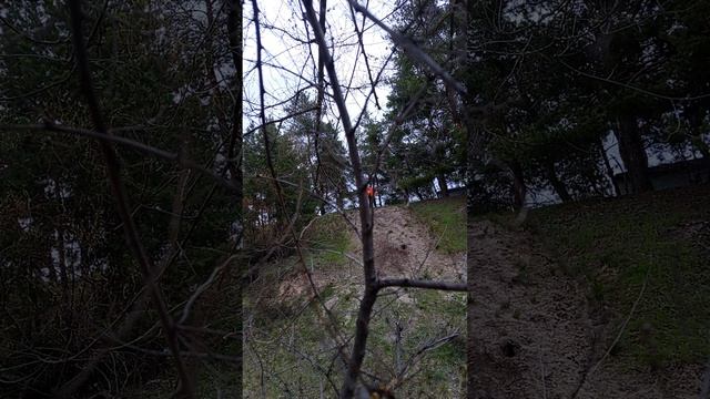 прыгаем с горы