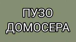Почему Домосёра "трясёт" от Вологжанки?!