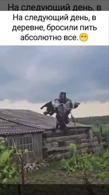 MOV_20260418_101416_264