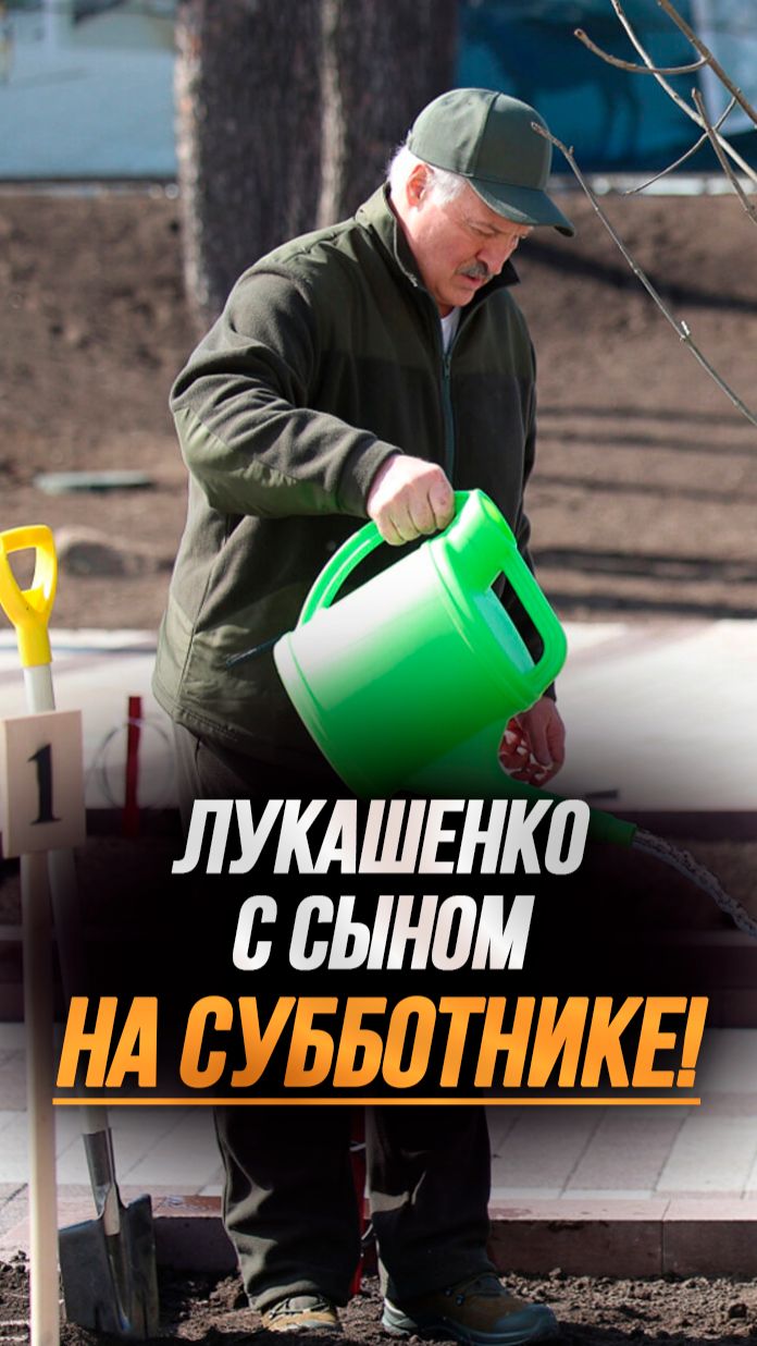 Лукашенко на субботнике: Ну что, Коля? Будешь дерево держать или засыпать землёй? #shorts