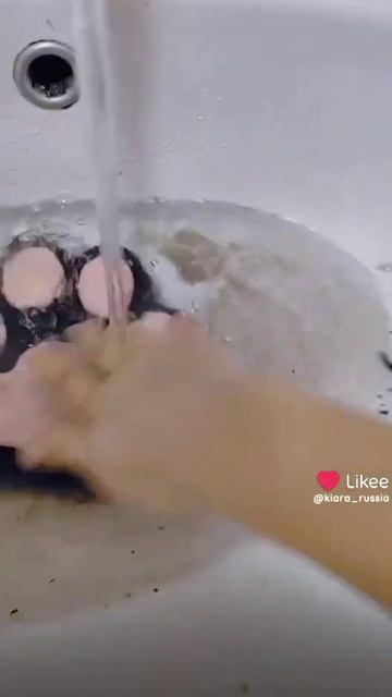 Миа Бойка не моет мне лапку приходится самой