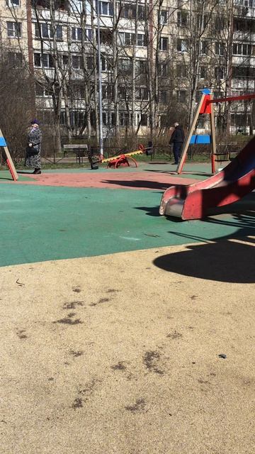 Санкт-Петербург. Проспект Энгелmса. 17.04.2026.  Котенок Персик на прогулке.  Эпизод 1