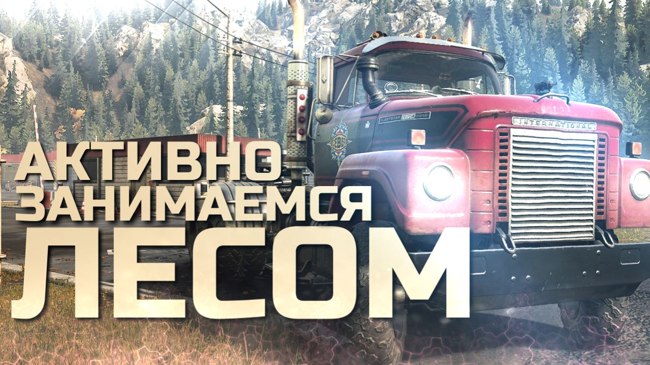Активно занимаемся лесом