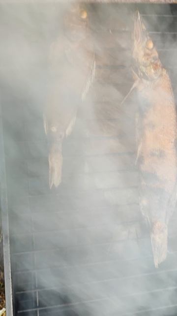 Копчёная рыба (щука, лещ, окунь)