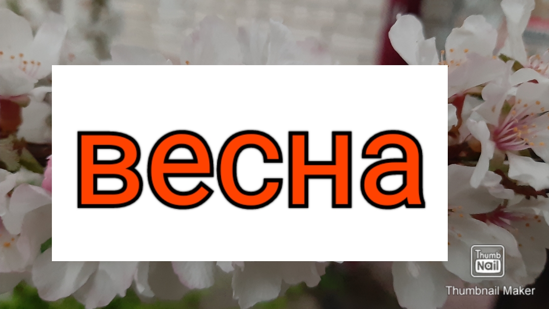 Готовлю завтрак