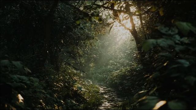 Антон Масленников/Лодочник