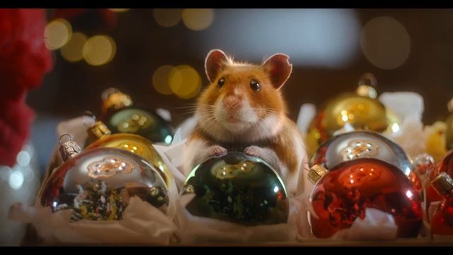 Albert Heijn Christmas Ad 2024 Whamster