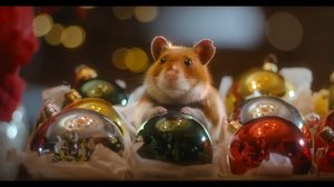 Albert Heijn Christmas ad 2024 Whamster