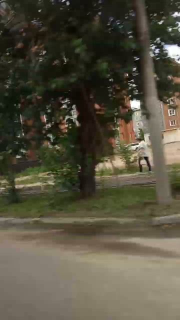 26 июля 2024 г.