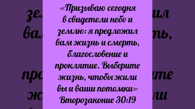 YouCut_20260418_163300079.mp4