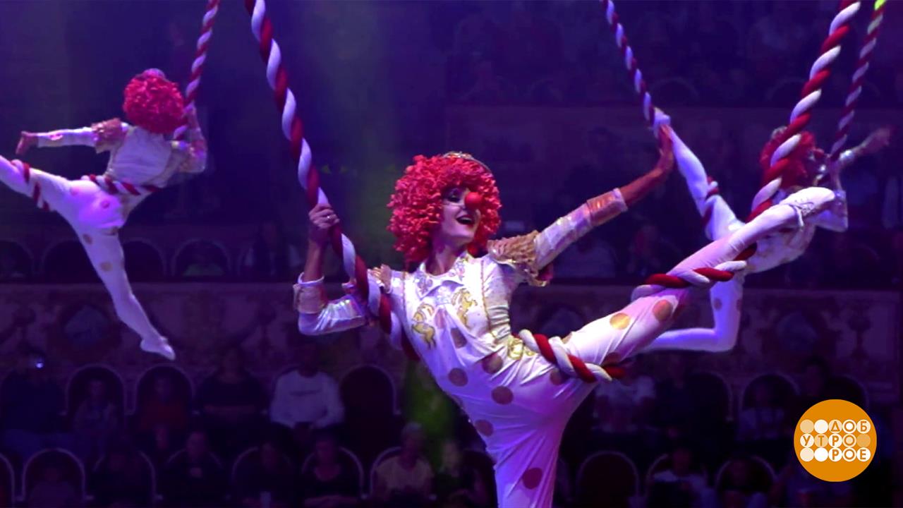 Спасибо тебе, цирк! Доброе утро. Суббота. Фрагмент выпуска от 18.04.2026