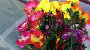 Во саду ли - в огороде. Весна 2026.  16 апреля.