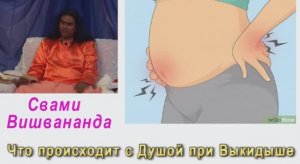 Свами Вишвананда что происходит с душой если происходит выкидыш Голицино 2010 г