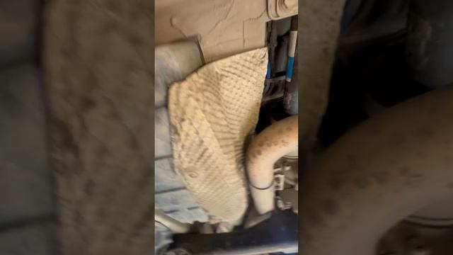 КИТАЕВЕДЫ А ГДЕ ТУТ РЖАВЧИНА 😁