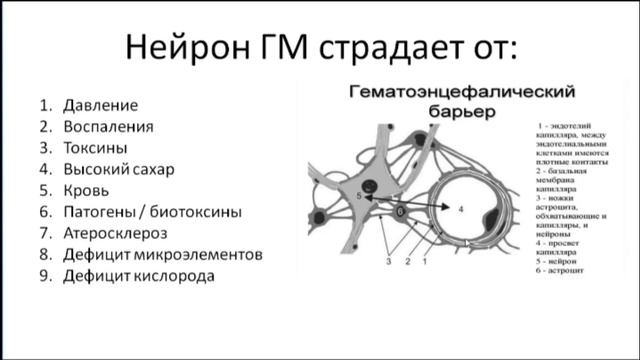 Общая информация о здоровье мозга от Натальи