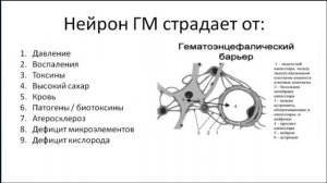 Общая информация о здоровье мозга от Натальи
