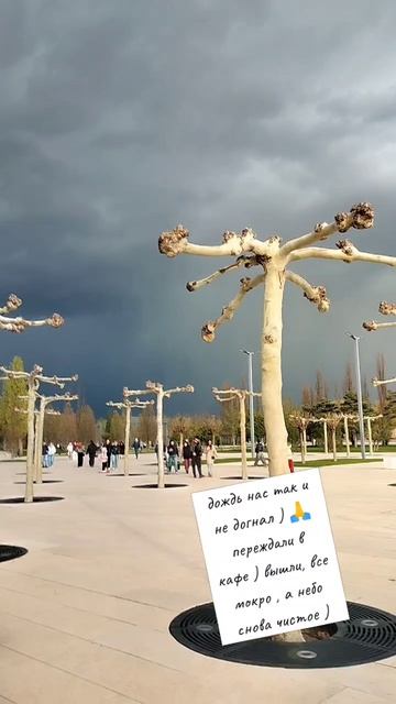 убегали от дождя парк Галицкого