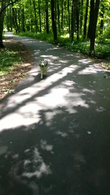 Катюша и Кита в Измайлово (video_2024-10-07).