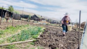 3 варианта для тех , кто не может понять о чем я вещаю