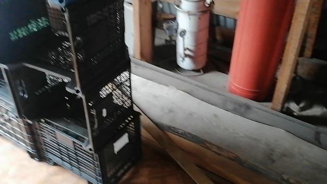 Гоняние и 99 ночей.