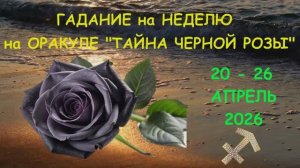 СТРЕЛЕЦ: ГАДАНИЕ на НЕДЕЛЮ с 20 по 26 АПРЕЛЯ 2026 года на Оракуле "ТАЙНА ЧЕРНОЙ РОЗЫ"!!!