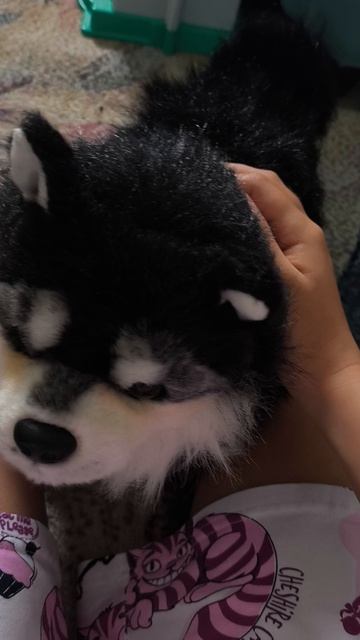 Все команды Элис!