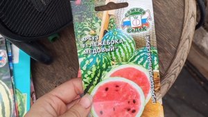 16-17.04.26Когда буду сеять АРБУЗЫ и ДЫНИ на рассаду.Погода супер, убираемся на участке.